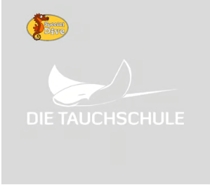 Partner Bildschirmfoto 2025 08 22 Um 11.00.59 Aq2JOEoW1jfWwN8y 1