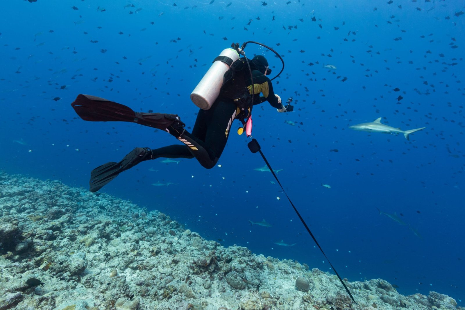 Spezialausrüstungs Kurse - buchen Deep Diving bei Specialdive