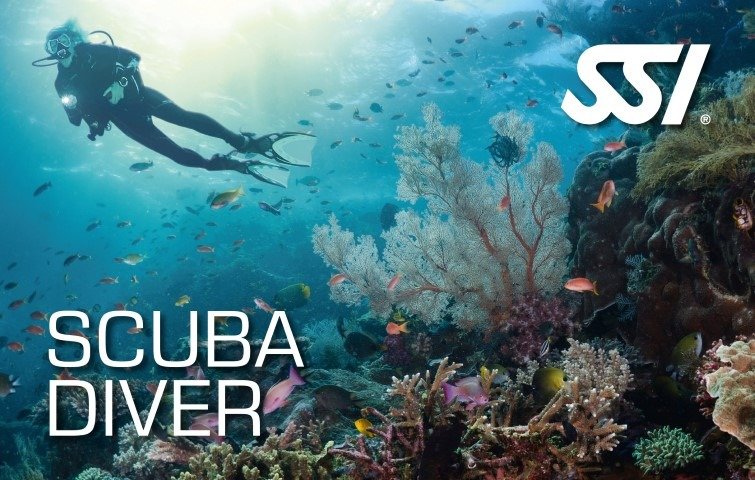 Scuba Diver Specialdive DOqDQGyjgBulle6q 1