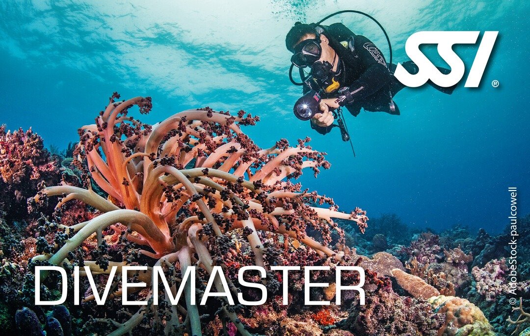 Startseite Specialdive Divemaster R3AlUUGOywR33imF 1