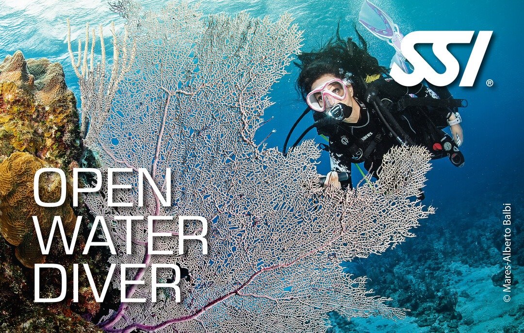 Ssi Open Water Diver Specialdive DWxO4ZDP83s8xKgr 1